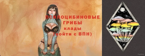 кокс Баксан